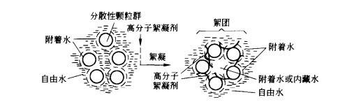 絮凝中的水份