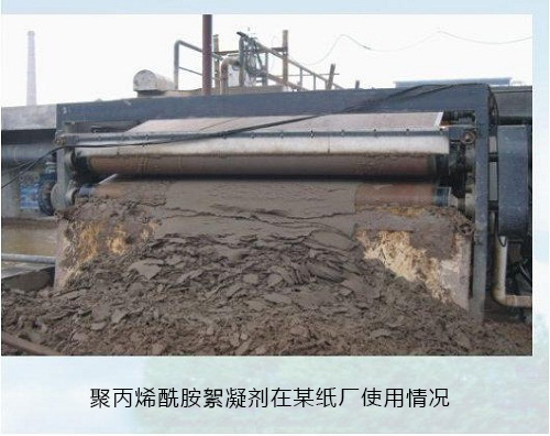 纸厂污泥脱水
