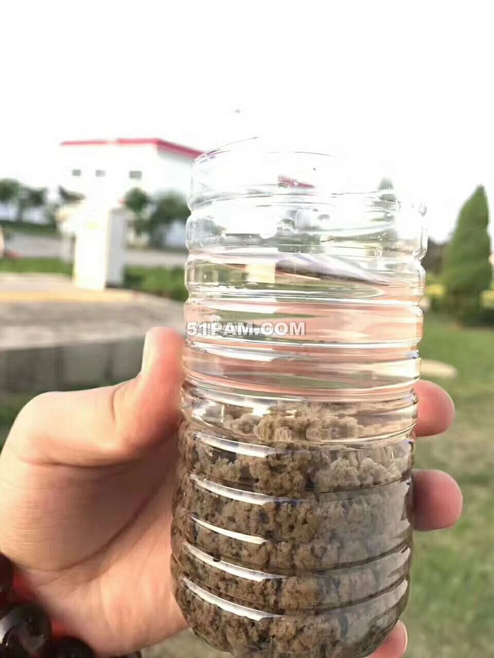 聚丙烯酰胺处理污水效果